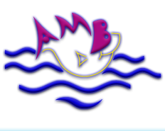 AMB AQUATIC HUB